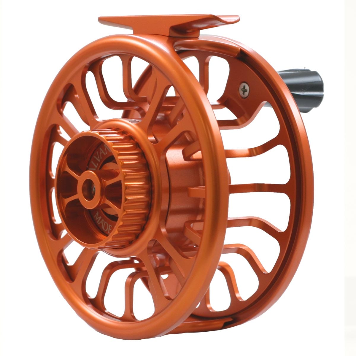 TORQUE - Image 4